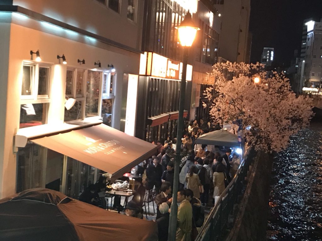 夜イチ桜